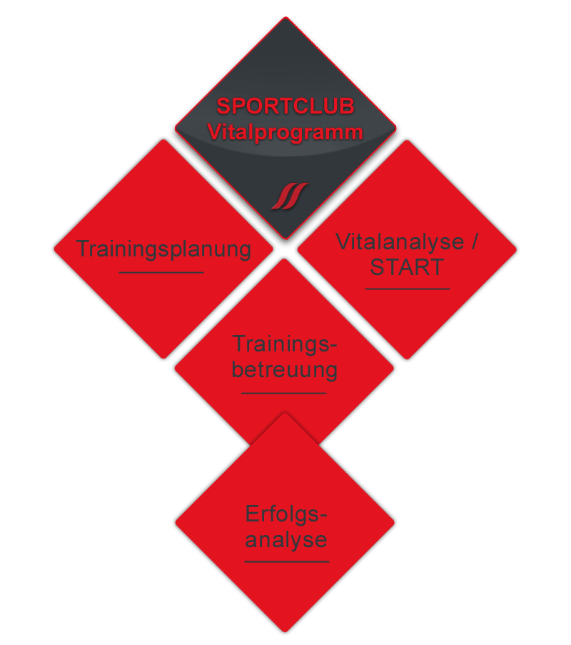 vitalprogramm